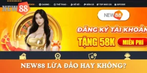 NEW88-lua-dao-hay-khong
