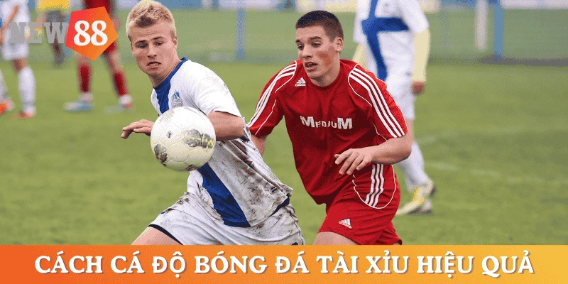 cach-ca-do-bong-da-tai-xiu-hieu-qua