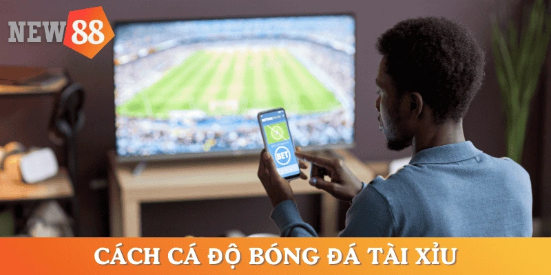 cach-ca-do-bong-da-tai-xiu