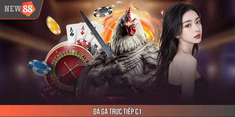 Đá Gà Trực Tiếp C1 NEW88 - Cuộc Tranh Tài Của Chiến Kê Giỏi