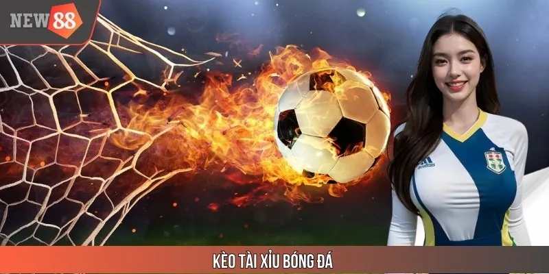 Kèo Tài Xỉu Bóng Đá - Tất Tần Tật Thông Tin Tại NEW88