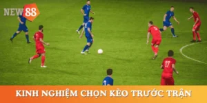 kinh-nghiem-chon-keo-truoc-tran