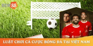luat-choi-ca-cuoc-bong-da-Viet-Nam