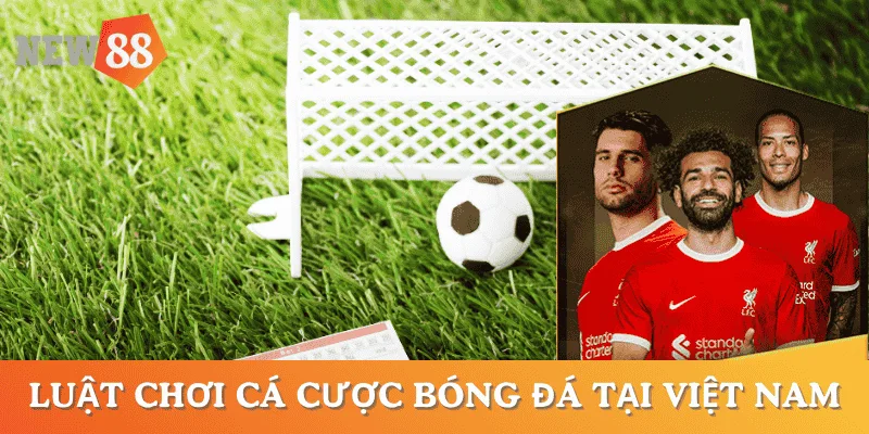 luat-choi-ca-cuoc-bong-da-Viet-Nam
