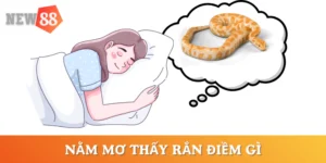 mo-thay-ran-la-diem-gi