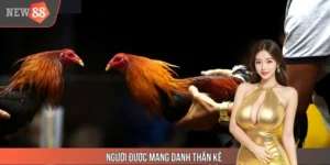 Người Được Mang Danh Thần Kê - Huyền Thoại Đá Gà NEW88