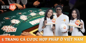 trang-ca-cuoc-hop-phap-viet-nam