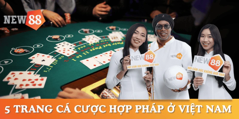 trang-ca-cuoc-hop-phap-viet-nam