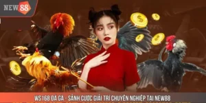 WS168 Đá Gà - Sảnh Cược Giải Trí Chuyên Nghiệp Tại NEW88