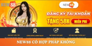 NEW88-co-hop-phap-khong